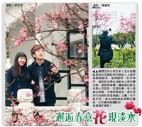 邂逅春意 　花現淡水