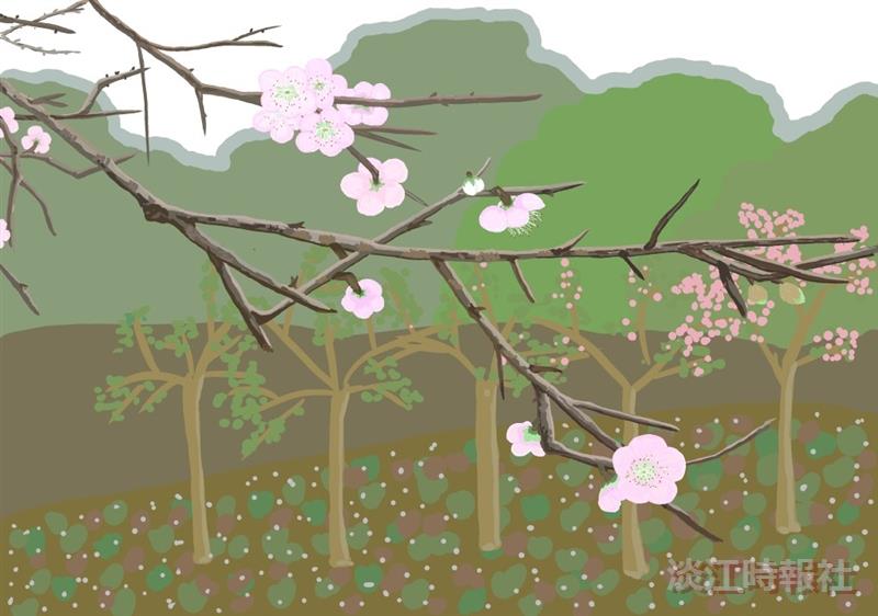 e筆書畫展 ：春梅