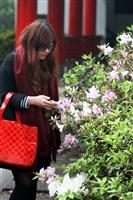 19日校友回娘家  春之饗宴熱鬧登場