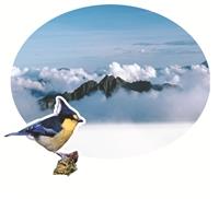 挺玉山投票去