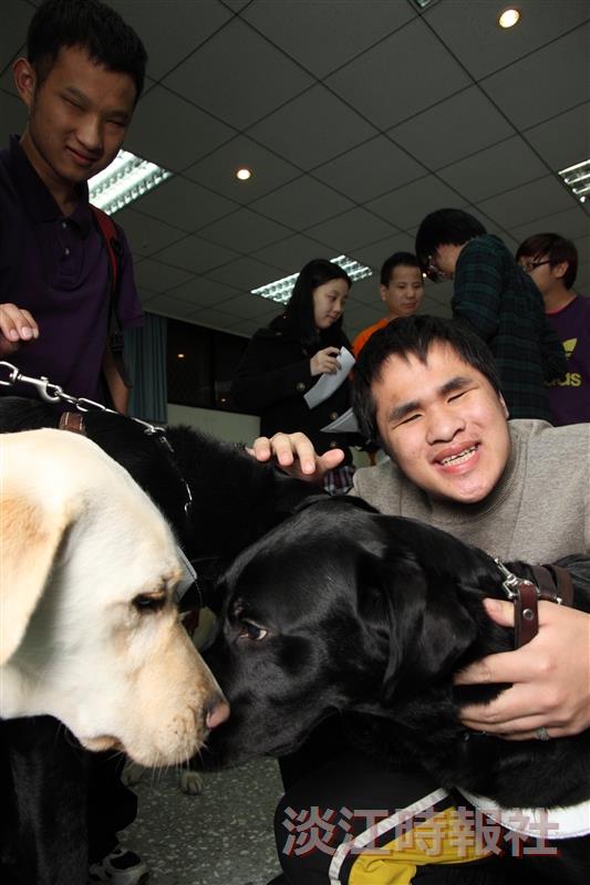 導盲犬_奕宏