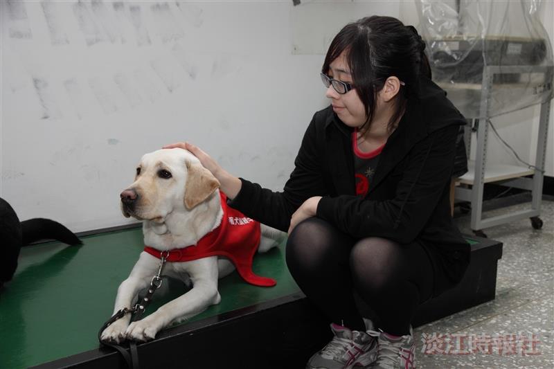 導盲犬_佩穎