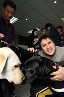 導盲犬_奕宏