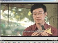 金探子上電視 化身淡江蜂鳥瘋科普
