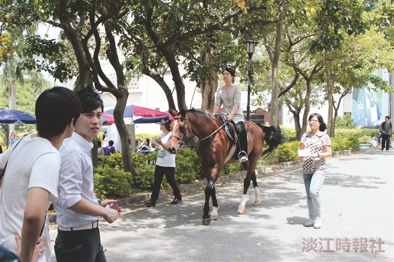 馬兒逛校園 馬術社吸睛效果十足