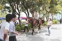 馬兒逛校園 馬術社吸睛效果十足
