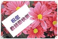感謝無私奉獻 70位資深優良教師獲教部表揚