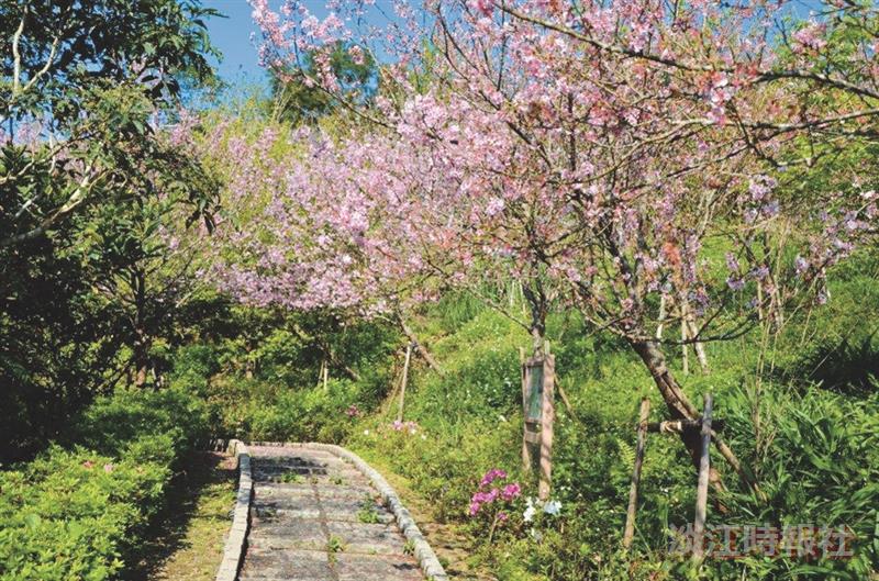 新生特刊-蘭陽校園步道