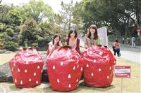 資傳 大傳畢展登場