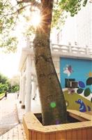 【花現校園】秋日美人