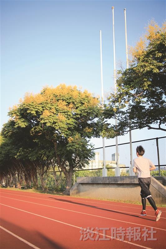 花現校園 臺灣欒樹變裝秀