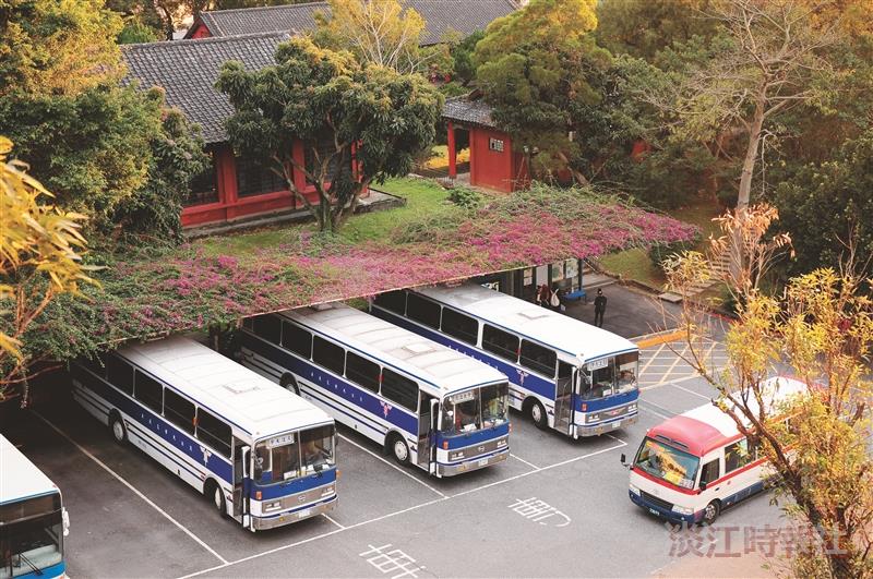 九重葛 花非花