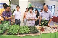 福智青年社黑天鵝推有機蔬食