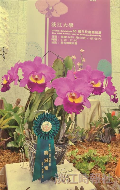 65週年校慶蘭喃自語蘭花展