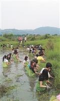 做環保救地球：淡江的學生在關渡自然公園擔任環境保育志工，割除雜草通河道（圖／盧耀欽提供）