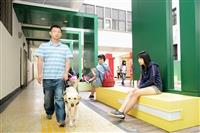 學校加強宣導同學輔助盲生及導盲犬