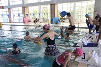 鄧公國小學生游泳自救能力教學課