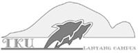 上圖為蘭陽校園制服上的Logo，由於蘭陽校園面對太平洋，遠眺龜山島，因此海豚下面的橫槓是指太平洋，後方為龜山島，從海平面躍起的海豚代表「魚躍淡江」的精神象徵。