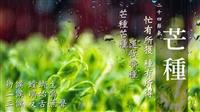 五月梅雨潤萬象 賽博帶你體會芒種的歡欣收穫與揮汗播種