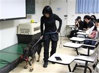 關懷動物社邀請鐶球警犬學校沈怡君教練分享訓犬經歷
