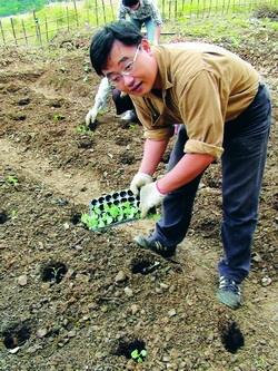 蘭陽校園主任室組員李建宗正開心地栽種綠花椰菜。（圖�蘭陽校園提供）