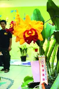 總務處於本週四（3日）起至今天在商館展示廳，舉辦蘭花展，及「淡江．印象．2005」校景攝影比賽得獎作品。
