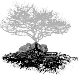 新天地•老樹•思想起  典藏校園共同回憶　建築系溫馨葬樹